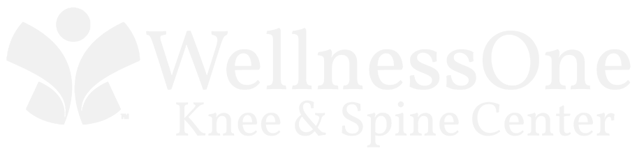 Chiropractic Lincoln NE WellnessOne Knee & Spine Center