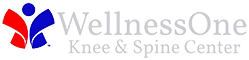 Chiropractic Lincoln NE WellnessOne Knee & Spine Center