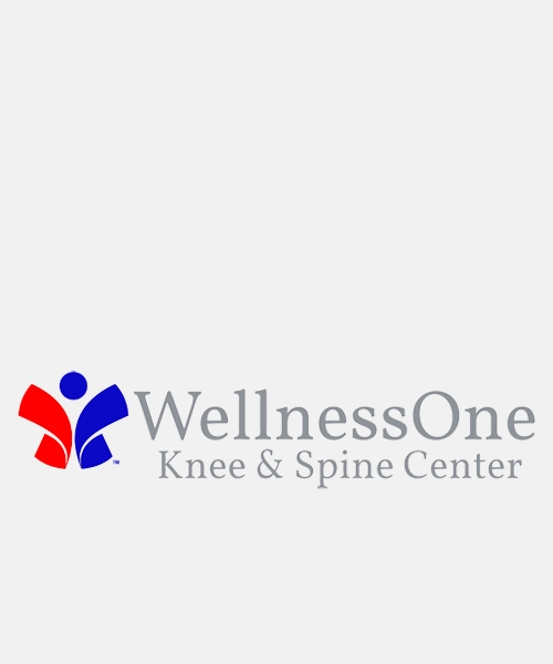 WellnessOne Knee & Spine Center Logo
